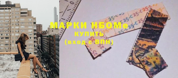 хмурый Алзамай
