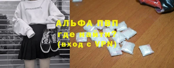 стаф Тайга