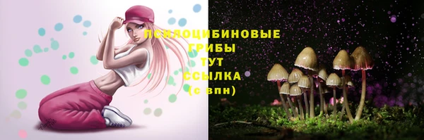 шишки Алексин