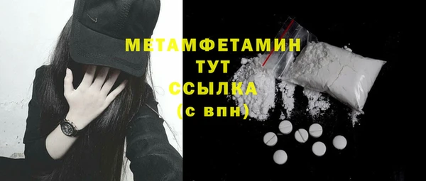 стаф Тайга