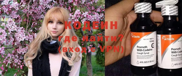 хмурый Алзамай