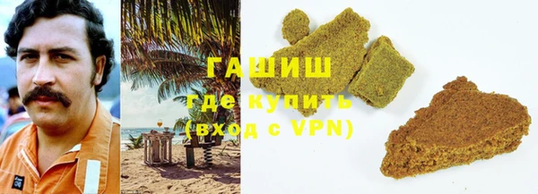 шишки Сясьстрой