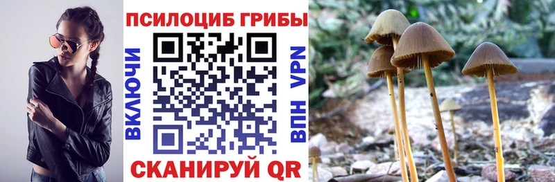 Галлюциногенные грибы Psilocybine cubensis  Анжеро-Судженск 