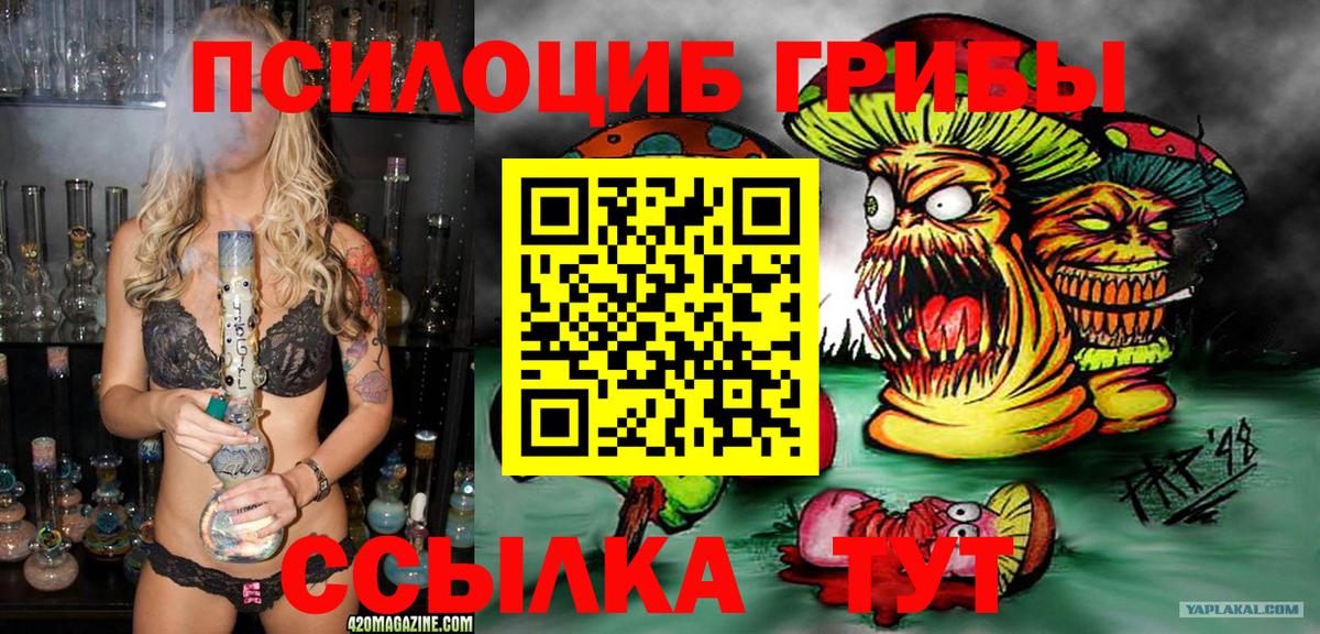 Псилоцибиновые грибы MAGIC MUSHROOMS Анжеро-Судженск